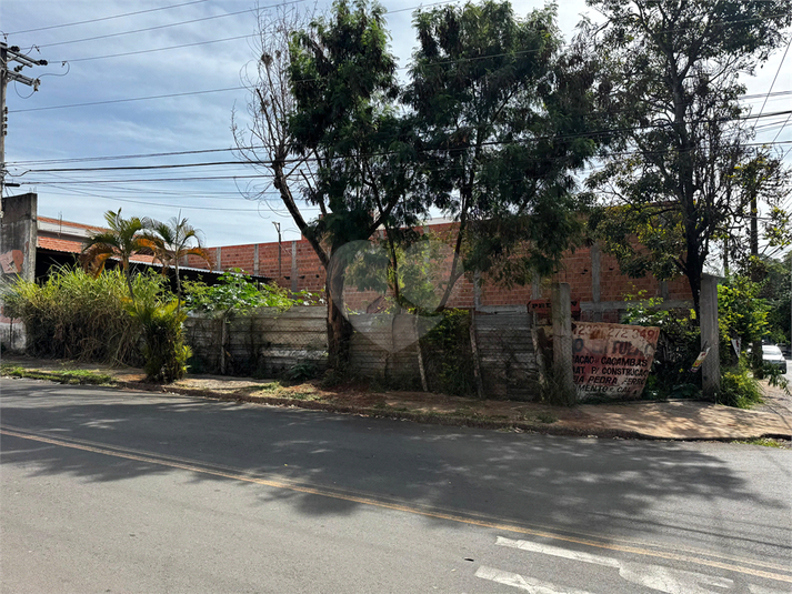 Foto REO1114727