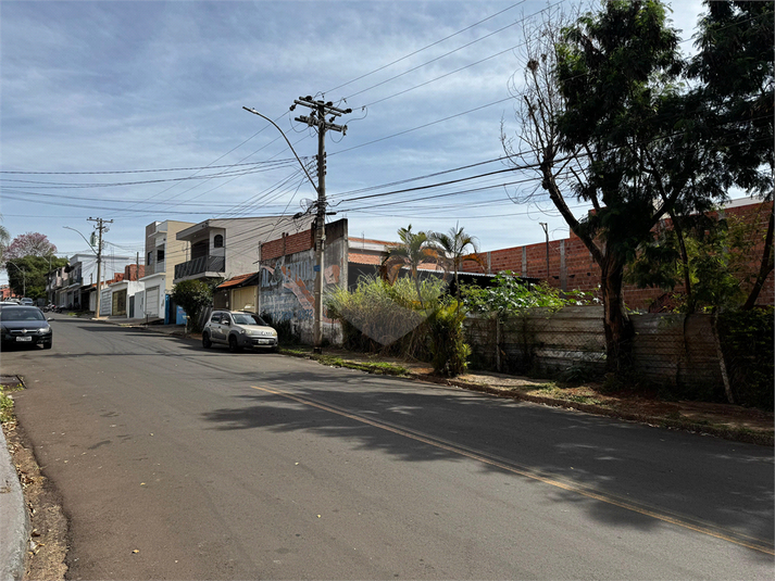 Foto REO1114727