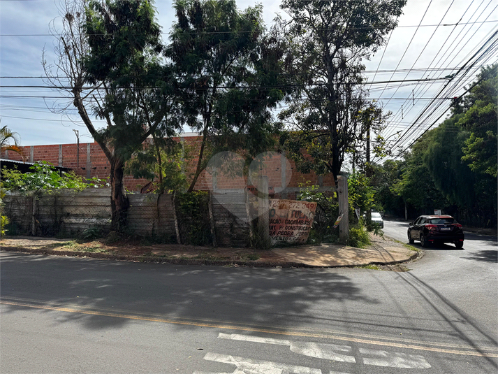 Foto REO1114727