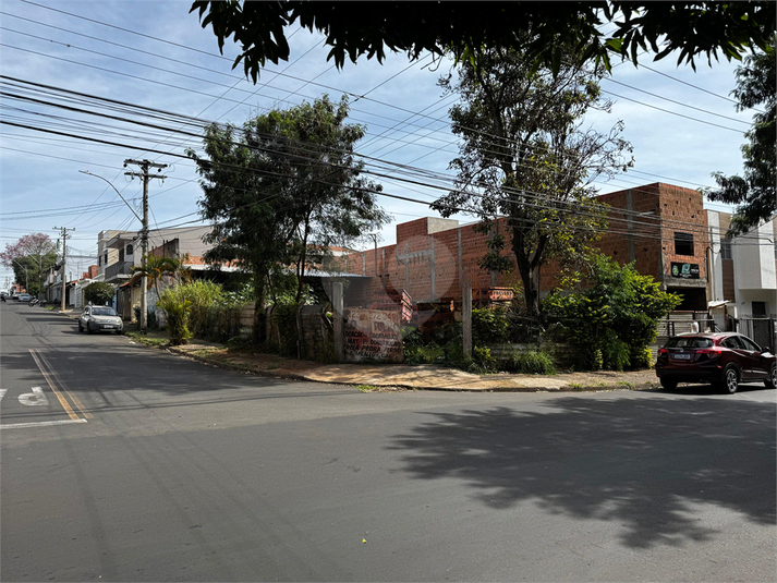 Foto REO1114727