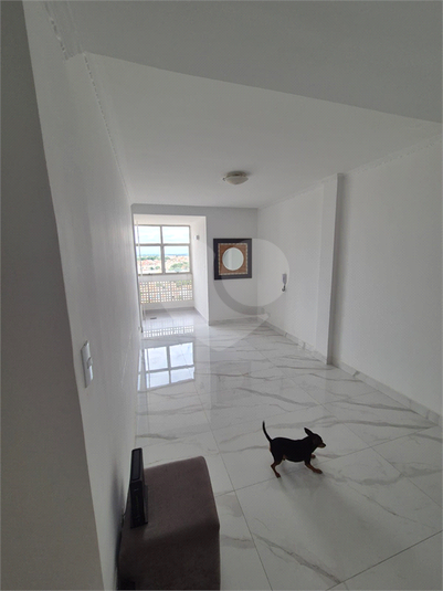 Foto REO1114736
