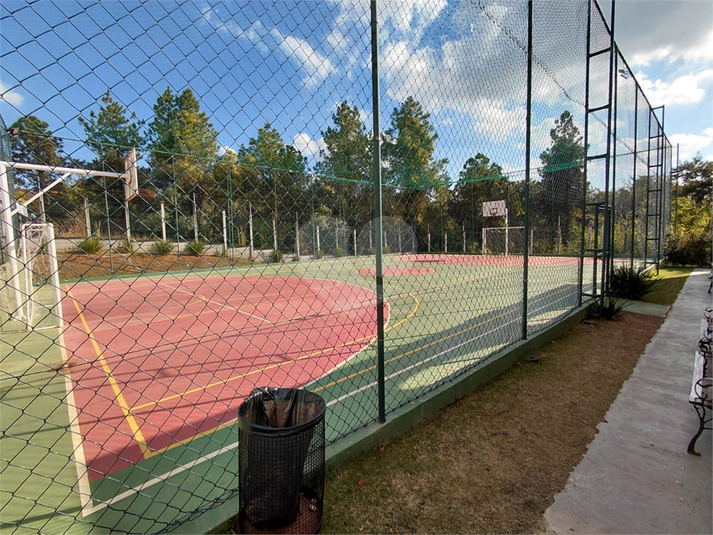 Foto REO1114744