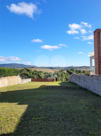 Foto REO1114750