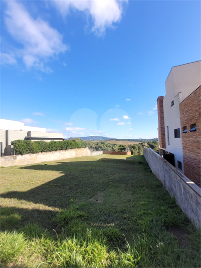Foto REO1114750
