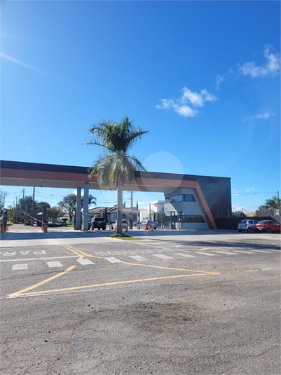 Foto REO1114750