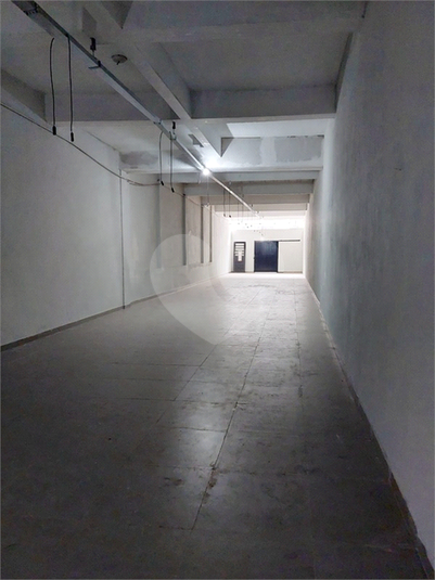 Foto REO1114754