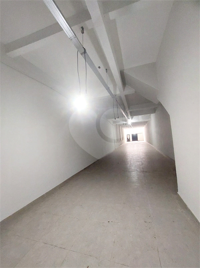 Foto REO1114754