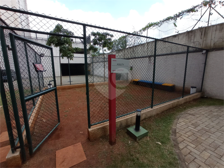 Foto REO1114759
