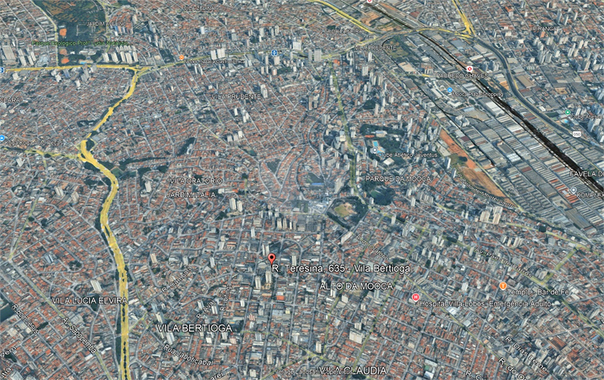 Foto REO1114773