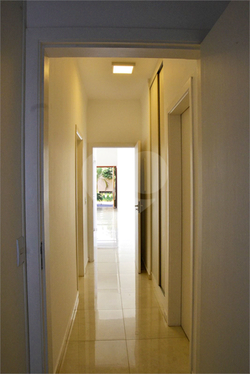 Foto REO1114783