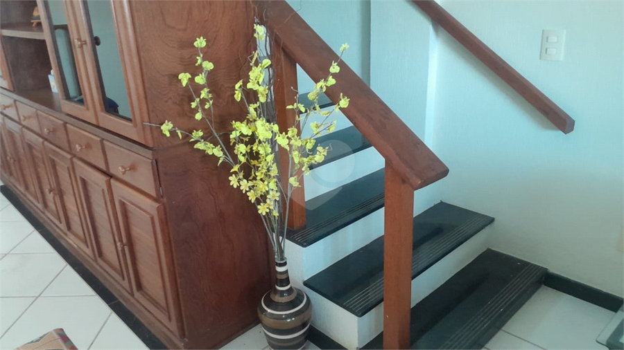 Foto REO1114785