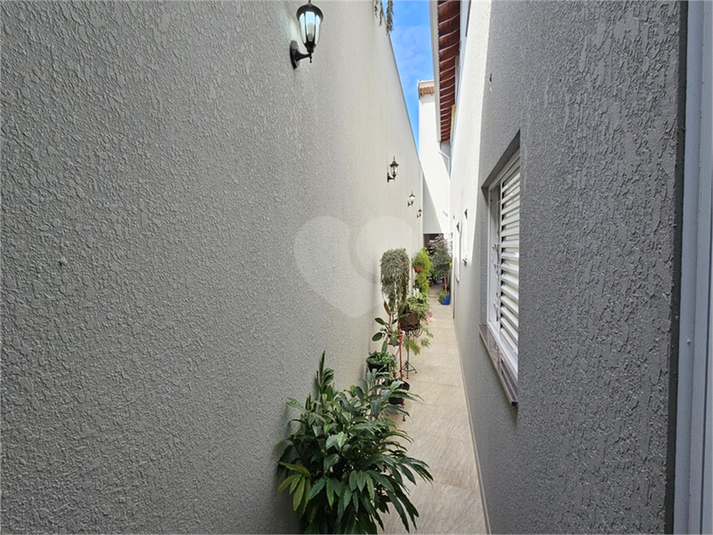 Foto REO1114790