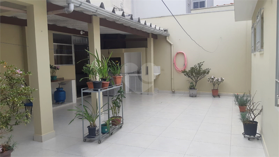 Foto REO1114791