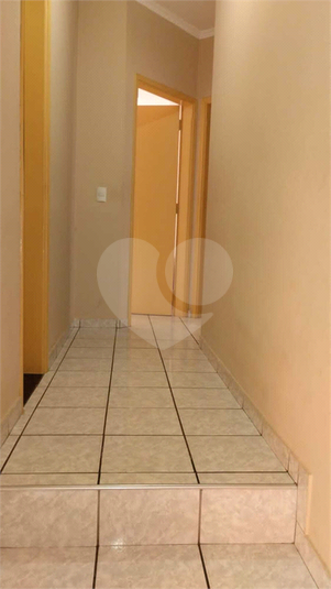 Foto REO1114810