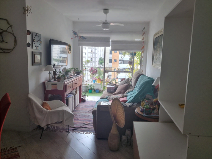 Foto REO1114818