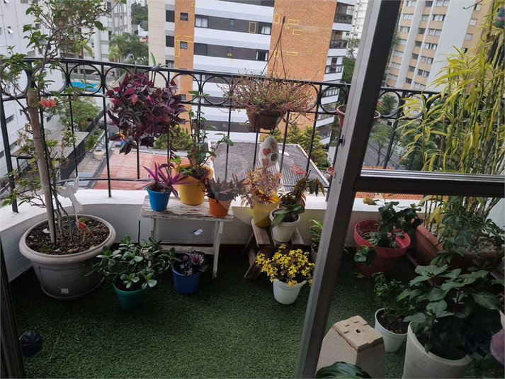 Foto REO1114818