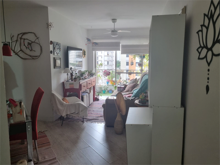 Foto REO1114818