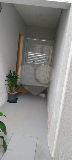 Foto REO1114824