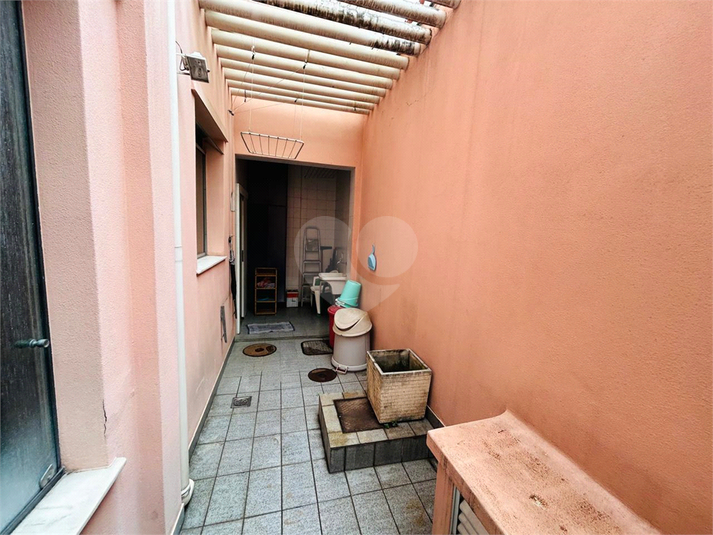 Foto REO1114826