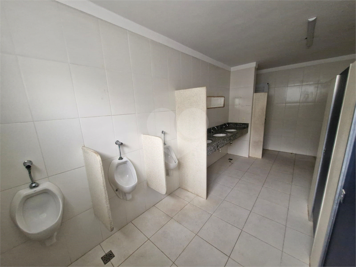 Foto REO1114828