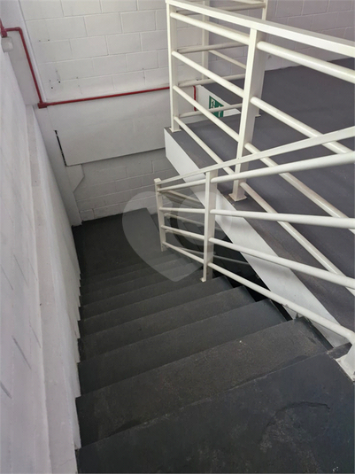 Foto REO1114828