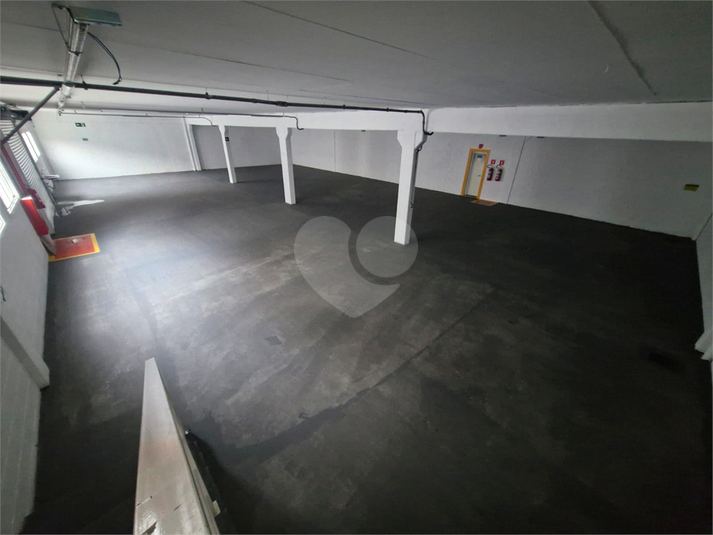 Foto REO1114828