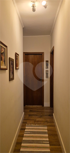 Foto REO1114838