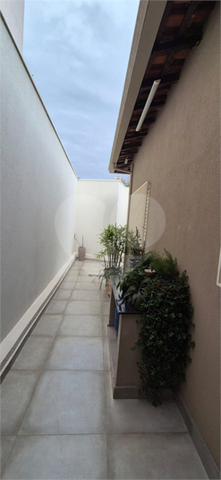 Foto REO1114838