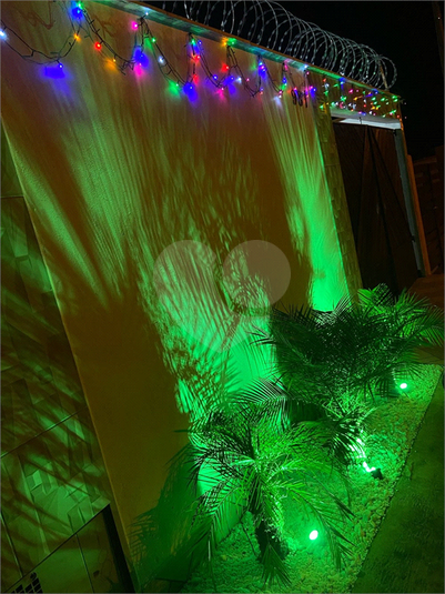 Foto REO1114839