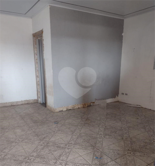 Foto REO1114843