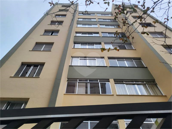 Foto REO1114845