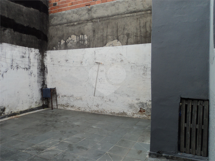 Foto REO1114846