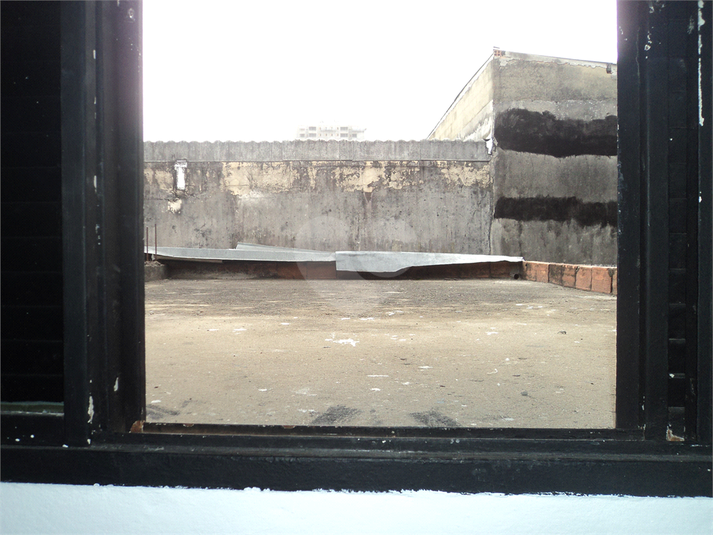 Foto REO1114846