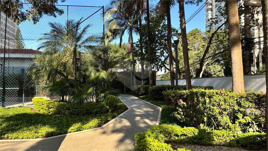 Foto REO1114849