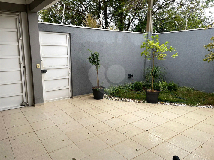Foto REO1114854