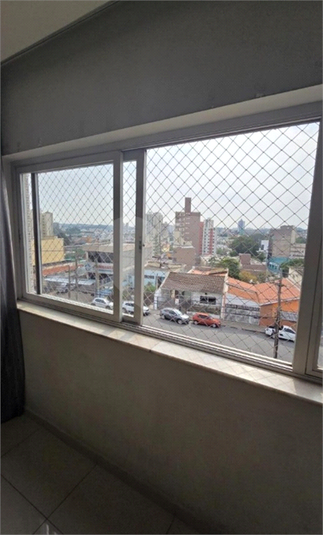 Foto REO1114855
