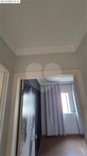 Foto REO1114855