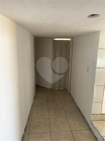 Foto REO1114862