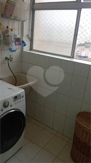 Foto REO1114863