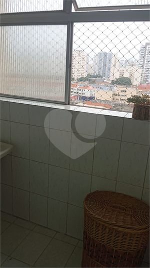 Foto REO1114863
