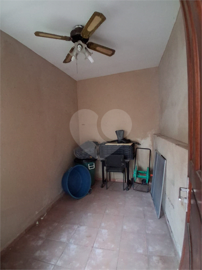Foto REO1114865