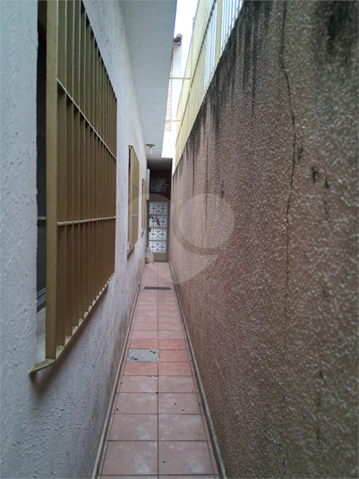Foto REO1114865