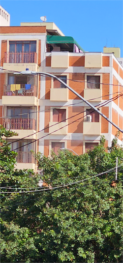 Foto REO1114866