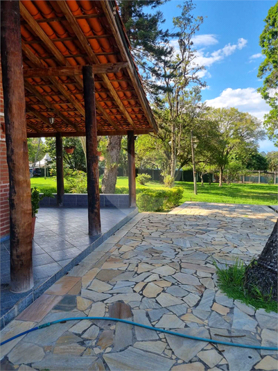 Foto REO1114868