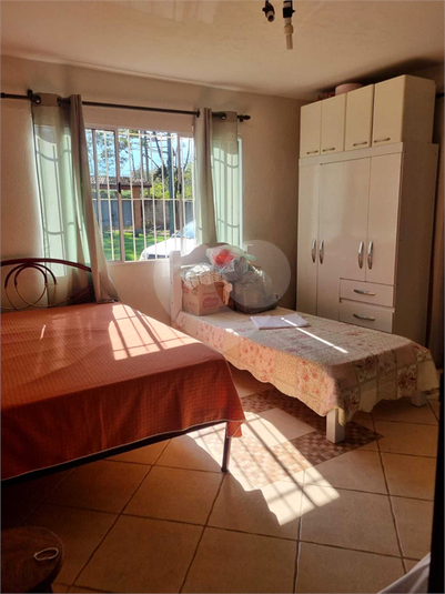Foto REO1114868
