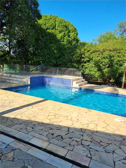 Foto REO1114868
