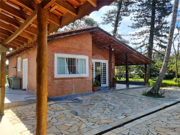 Foto REO1114868