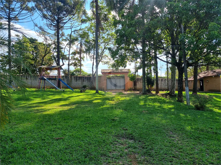 Foto REO1114868