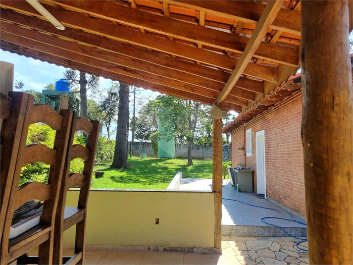 Foto REO1114868