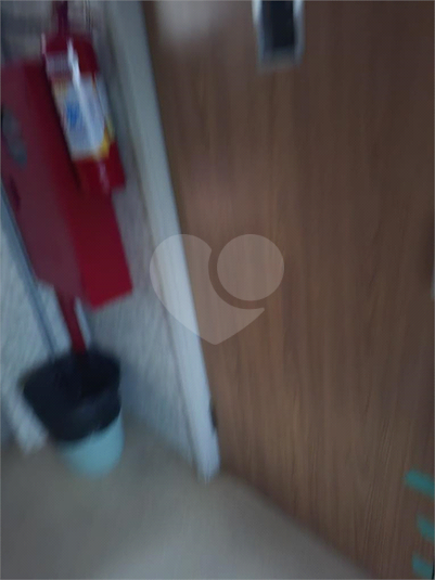 Foto REO1114875